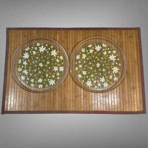 VINTAGE 70s TRAYS SET OF TWO
